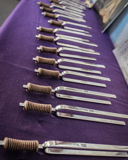 Multiple metal planetary tuning forks arranged in a row on a purple cloth surface. — for Carpe Diem Dream