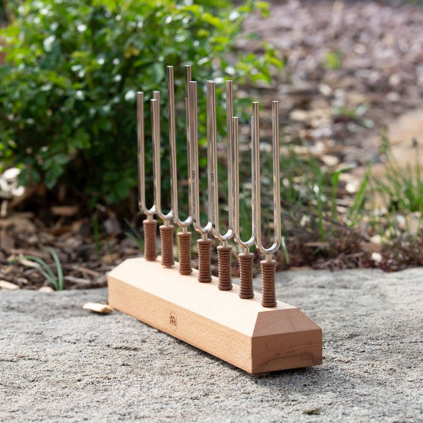 Seven chakra tuning forks with cork handles on a wooden base displayed outdoors on a stone surface with greenery. — for Carpe Diem Dream
