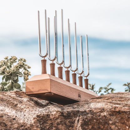 Seven chakra tuning forks with cork handles mounted on a wooden base displayed on a rock with sky in the background. — for Carpe Diem Dream