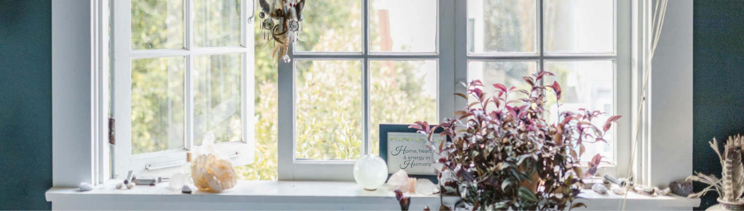 A bright windowsill scene with potted plants, pink-purple foliage, a small vase, and other home décor against a dark teal wall — for Carpe Diem Dream
