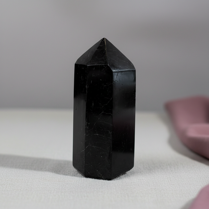 Polished Black Tourmaline crystal point displayed on soft ivory fabric with muted mauve accents and diffused studio lighting. — for Carpe Diem Dream