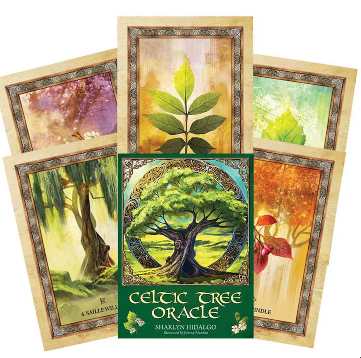 Celtic Tree Oracle deck box centered with six illustrated tree-themed cards fanned behind it on a white background. — for Carpe Diem Dream