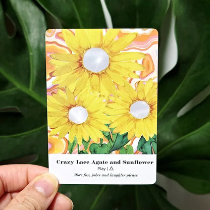 A single Earth Alchemy Oracle card featuring a sunflower illustration is held in hand against a green leaf background, showing detailed card artwork and text. — for Carpe Diem Dream