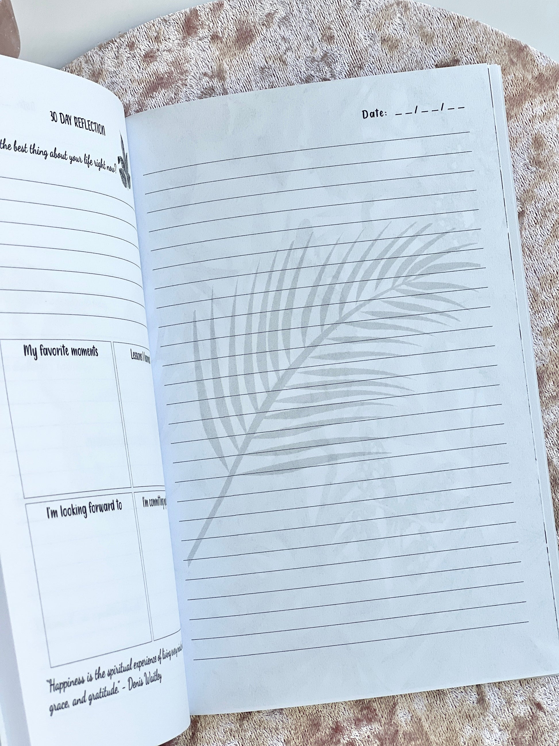 Lined daily journaling page of Gratitude Daily Journal with date line and subtle leaf illustration watermark on a neutral background — for Carpe Diem Dream