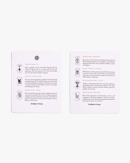 Mindful Affirmations for Chakra Balancing reference cards explaining the seven chakra energy centers and their meanings on a clean white background. — for Carpe Diem Dream