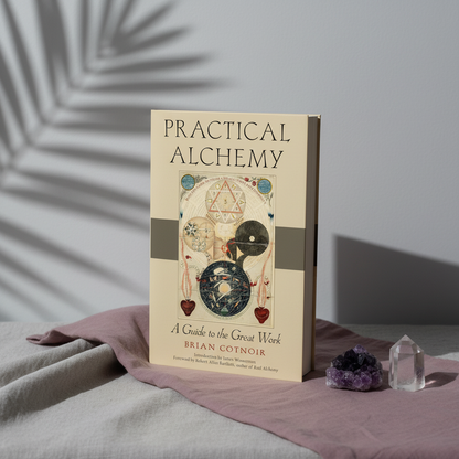 The paperback book Practical Alchemy displayed upright beside clear quartz and amethyst crystals on layered mauve and linen fabric with botanical shadows and soft editorial lighting. — for Carpe Diem Dream