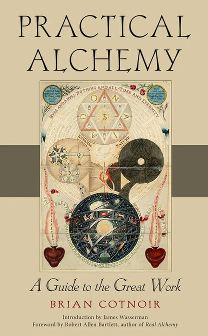 The paperback book Practical Alchemy featuring vintage alchemical artwork and serif typography displayed against a clean neutral background. — for Carpe Diem Dream