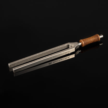 Weighted Master Fork 2 tuning fork engraved 256 Hz with cork handle resting on a glossy black reflective surface. — for Carpe Diem Dream