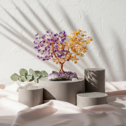 Amethyst and citrine crystal abundance tree displayed on neutral stone pedestals with soft shadows against a textured white wall. — for Carpe Diem Dream