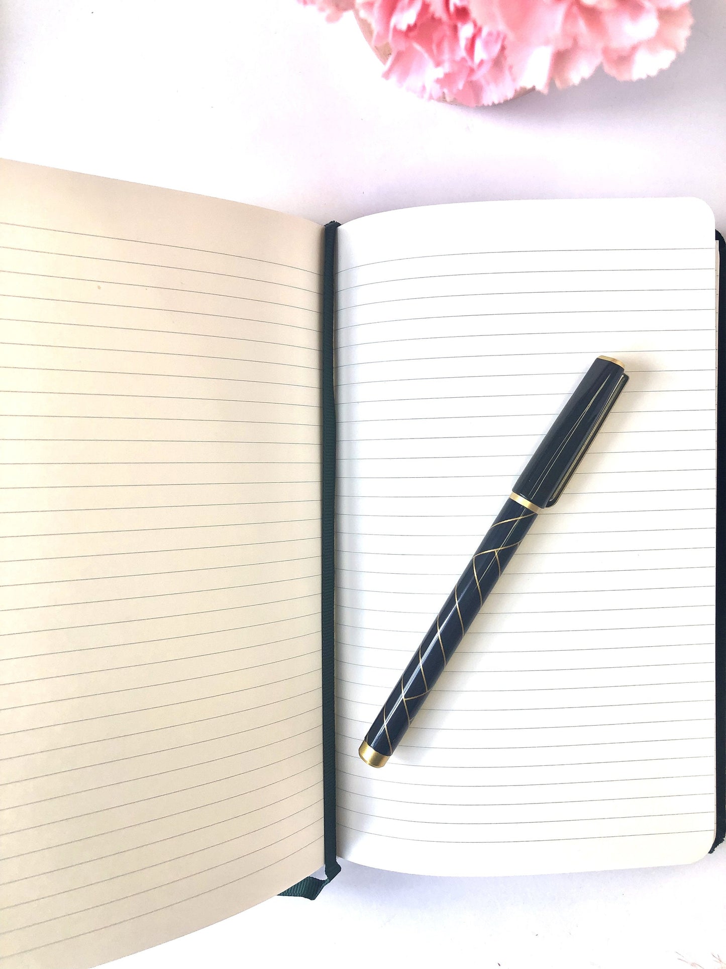 An open velvet hard cover journal showing cream lined pages with a pen resting across the notebook. — for Carpe Diem Dream