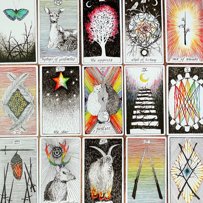 A full layout of illustrated tarot cards from The Wild Unknown Tarot deck displayed in a grid, showcasing the deck’s minimalist black, white, and color-accented artwork. — for Carpe Diem Dream